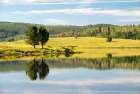 USA-Colorado Calm reflection on Steamboat Lake Art Print